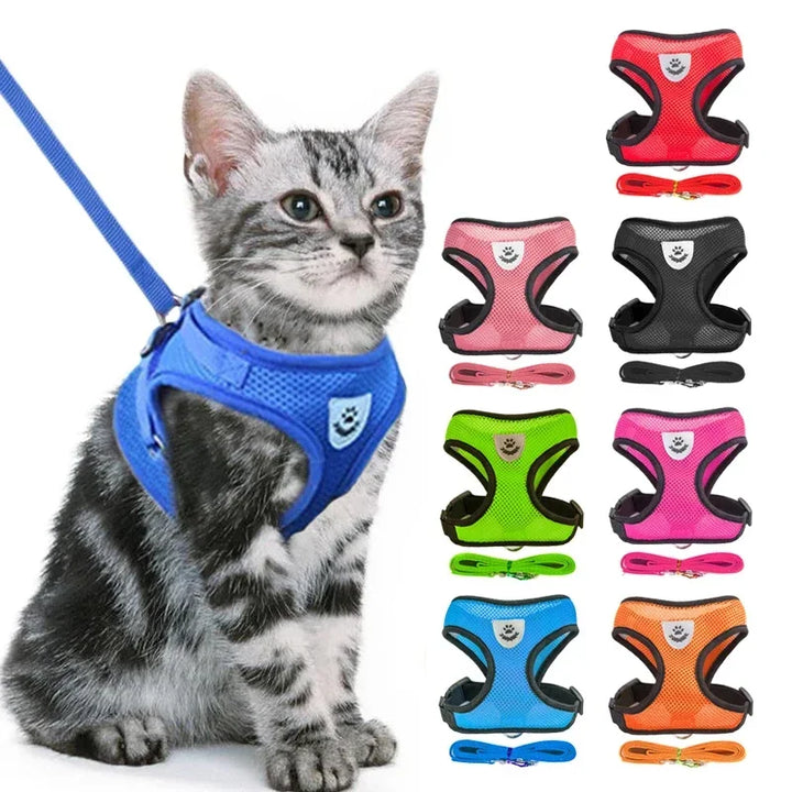 Pet Harness & Walking Leash