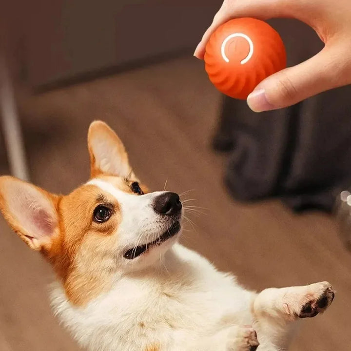 PawZiggy Self Rolling Ball For Dog